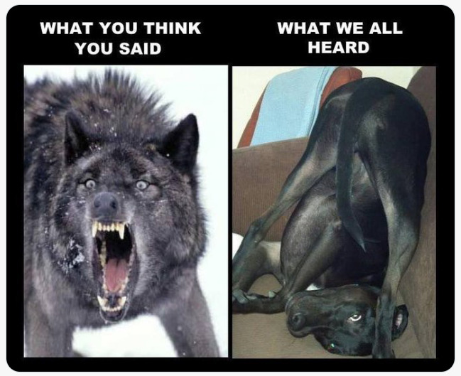 What you think you said: Angry Wolf. What we all heard: Derpy Tame Dog