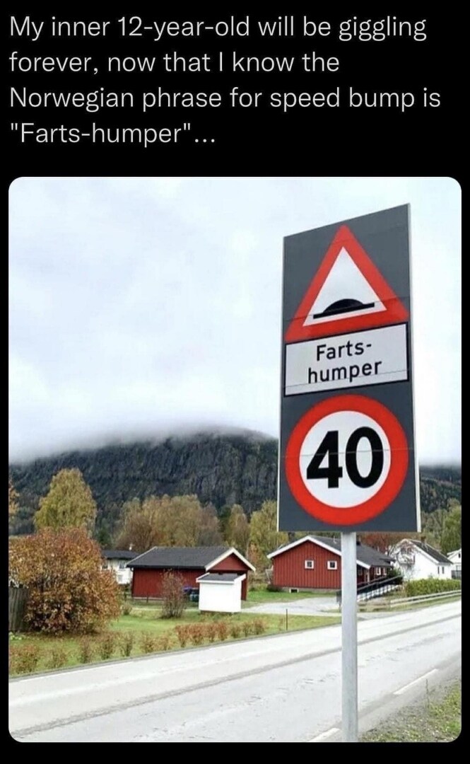 My inner 12-year-old will be giggling forever, now that I know the Norwegian phrase for speed bump is 'farts-humper' My inner 12-year-old will be giggling forever, now that I know the Norwegian phrase for speed bump is 'farts-humper'