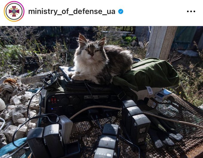 cat sitting on electronics, captioned 'Ministry of Defense UA'
