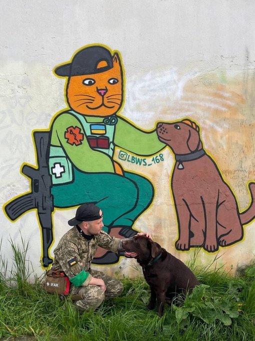 a soldier pets a dog by a mural of a cartoon cat medic petting a dog a soldier pets a dog by a mural of a cartoon cat medic petting a dog