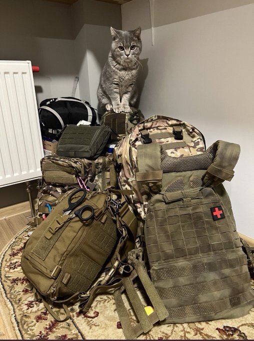 fluffy cat sits on Ukraine soldier backpacks fluffy cat sits on Ukraine soldier backpacks