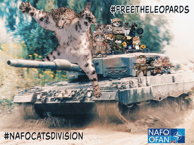 Free the Leopards, NAFO cats division.