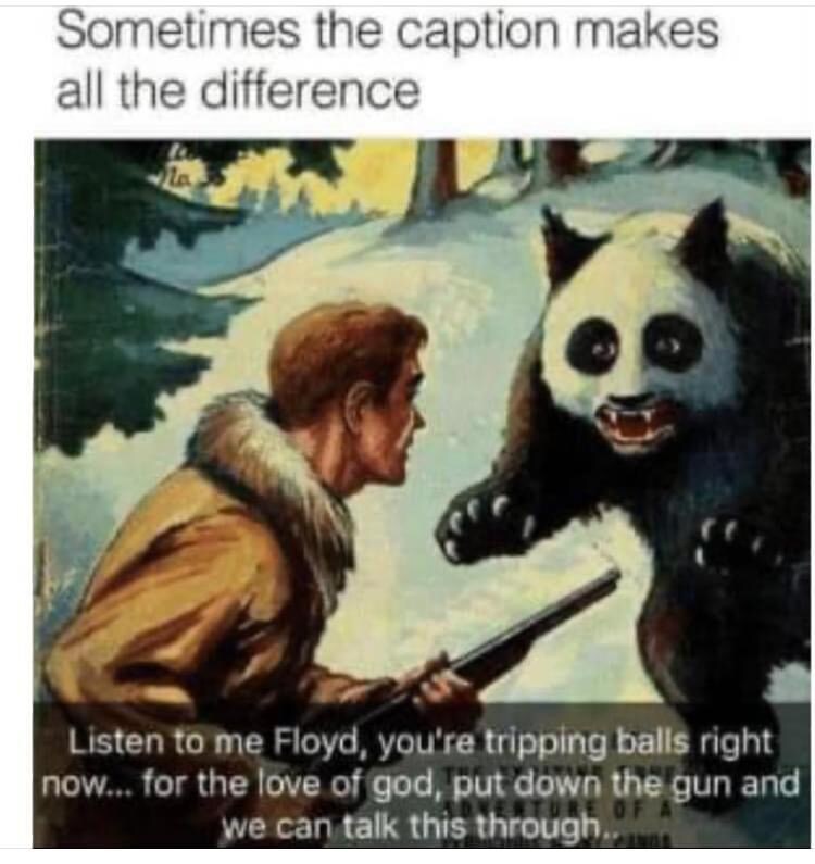 The right caption for an image can completely change the context.