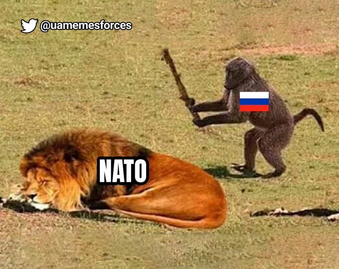 Monkey with stick (Russia) is about to poke sleeping lion (NATO).