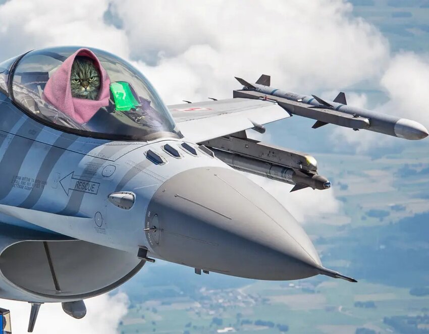 Previous annoyed cat shooped into looking like she's piloting a jet.