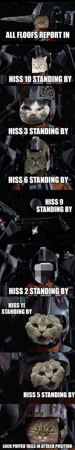 The bit from 'Star Wars' right before the assault on the Death Star where all the X-wing pilots report in, except they've all had cat heads shooped over their human faces by shinji3i.
