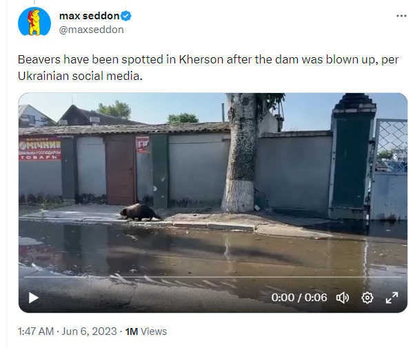 Beavers have been spotted in Kherson after the dam was blown up.