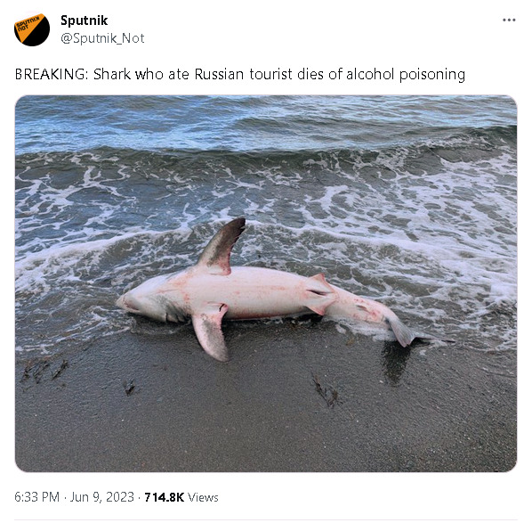 Breaking: Shark who ate Russian tourist dies of alcohol poisoning (picture of a dead shark).