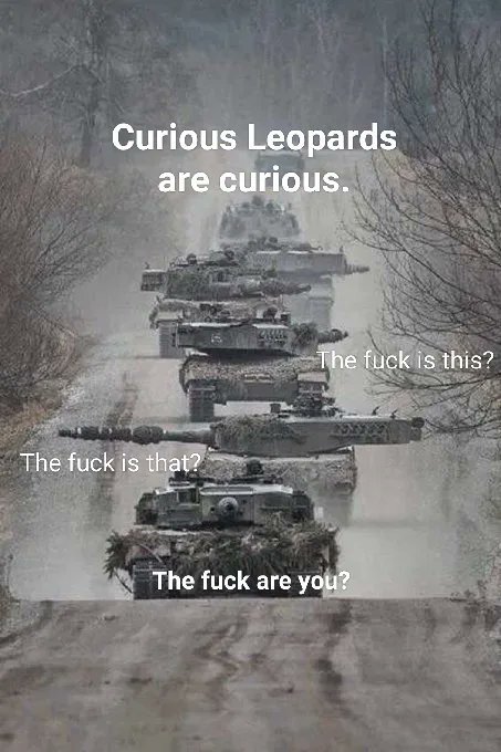 Column of Leopard tanks, 'Curious Leopards are curious.' One tank, turret pointed right, says 'The fuck is this?' Another, turret pointed left, says, 'The fuck is that?' Tank with turret pointed at camera says, 'The fuck are you?'