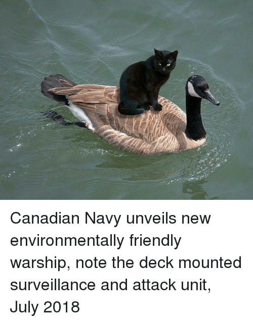 Canadian Navy unveils new environmentally friendly warship, note the deck mounted surveillance and attack unit (picture of a Canada goose with a black cat sitting on its back.)