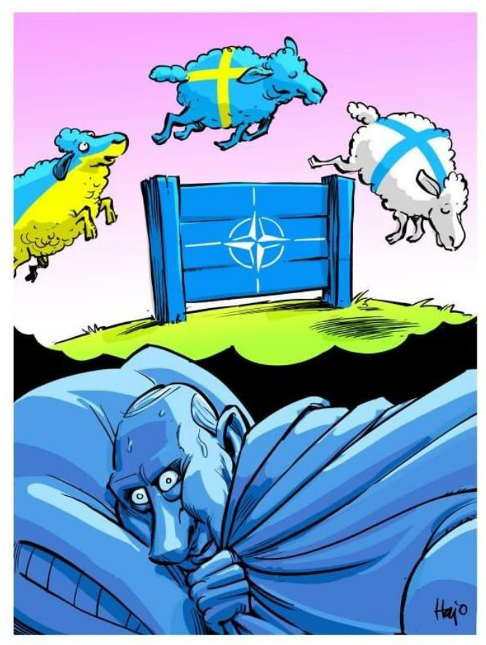 Putin, wide-eyed, thinks about Finland, Sweden, and Ukraine as sheep jumping over a NATO fence.