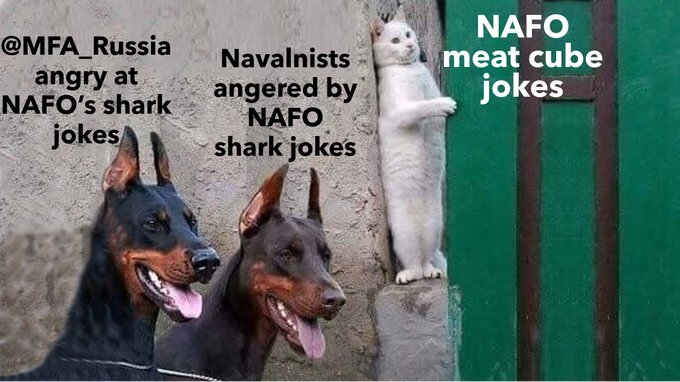 Dogs MFA_Russia angry at NAFO's shark jokes and Navalnists angered by NAFO shark jokes stalk cat NAFO meat cube jokes.