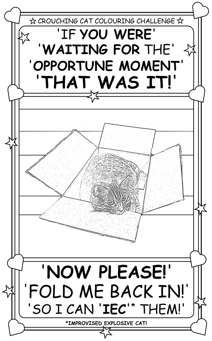 Coloring book page about a cat who is an Improvised Explosive Cat.