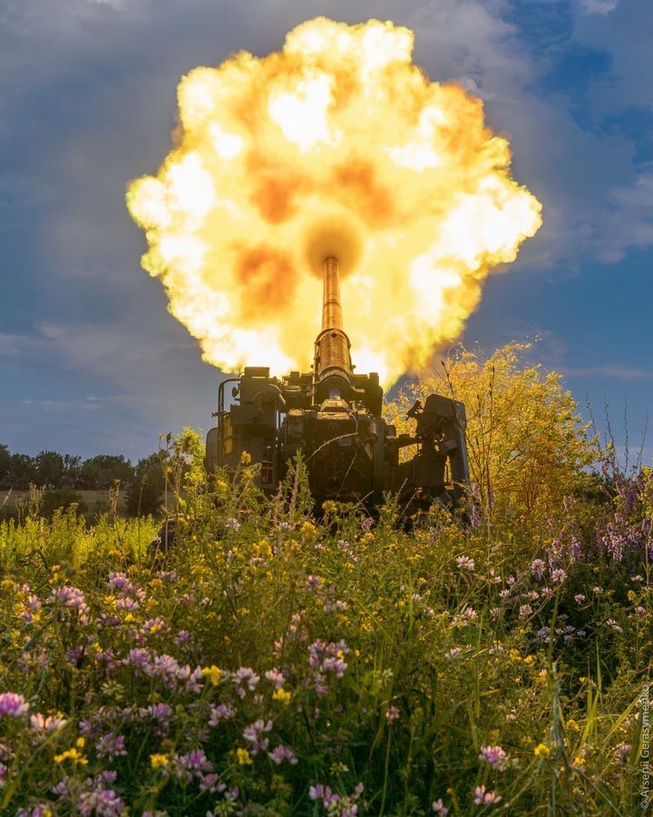 A howitzer firing, right after the shell has left the barrel, so the fireball from the powder is visible and it looks like a big metal dandelion.