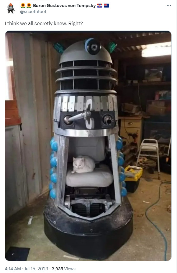 A model of a Dalek with a cat sitting inside of it.  'I think we all secretly knew. Right?'