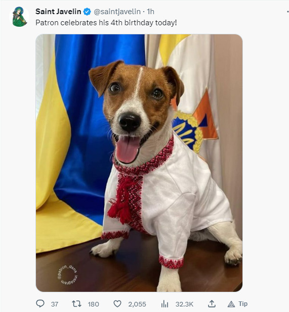 Patron celebrates his 4th birthday today! (Ukrainian de-mining dog Patron, who is internet-famous.)