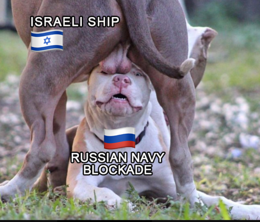 A dog (Israeli ship) teabags a smaller dog (Russian navy blockade).