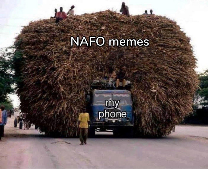 A huge amount of vegetation (NAFO memes) stacked and piled on top of a relatively small van (my phone).