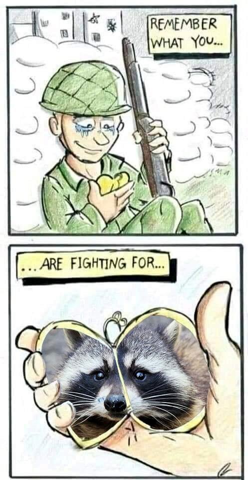 Remember what you are fighting for: (soldier looks at a locket with a picture of a raccoon.)