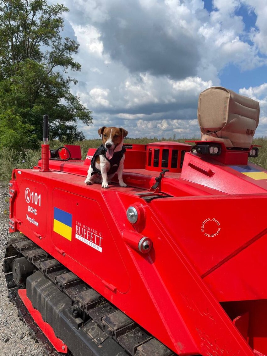 Famous dog Patron sitting on a new demining vehicle.