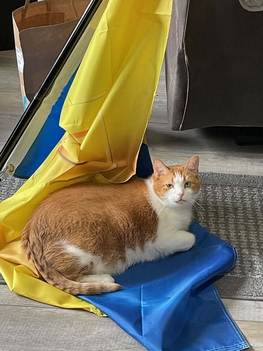 McButt, sitting on a Ukrainian flag.
