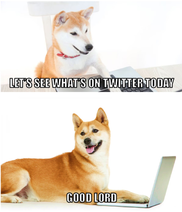 Dog: Let's see what's on twitter today... Good lord.