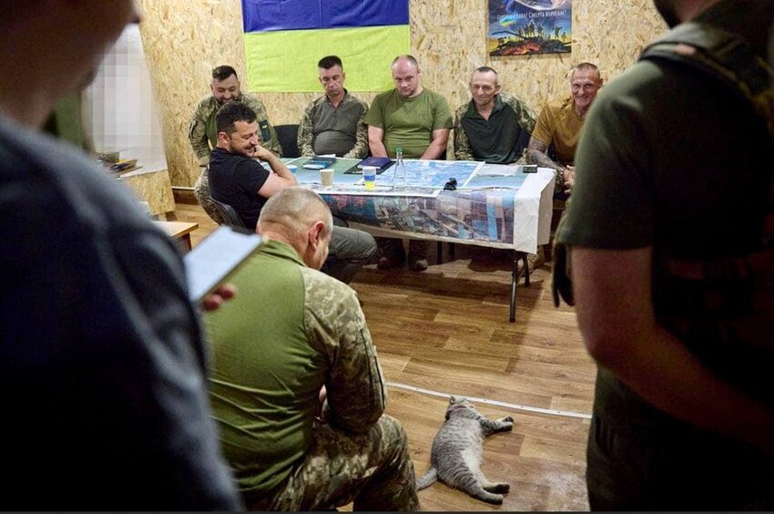 Zelenskyy in meeting with military officials, gray tabby cat is sleeping on the floor not giving a rat's ass about the humans.