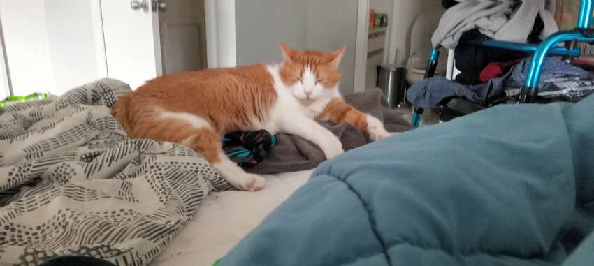 The McButt update for 2023-08-16.