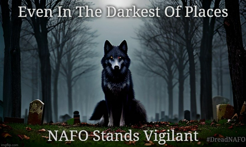 In the darkest of times, NAFO stands vigilant. (Picture of a wolf in a dark forest.)