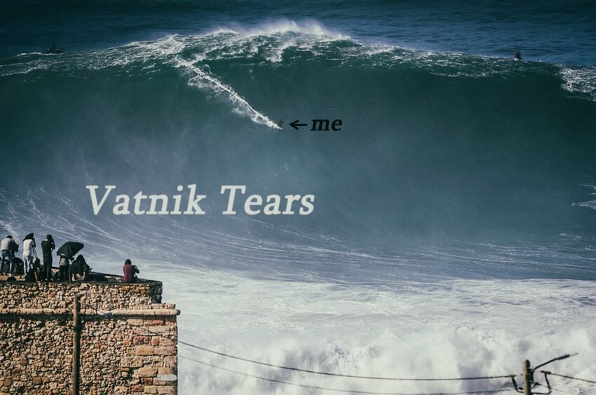 Surfing on a wave of vatnik tears.
