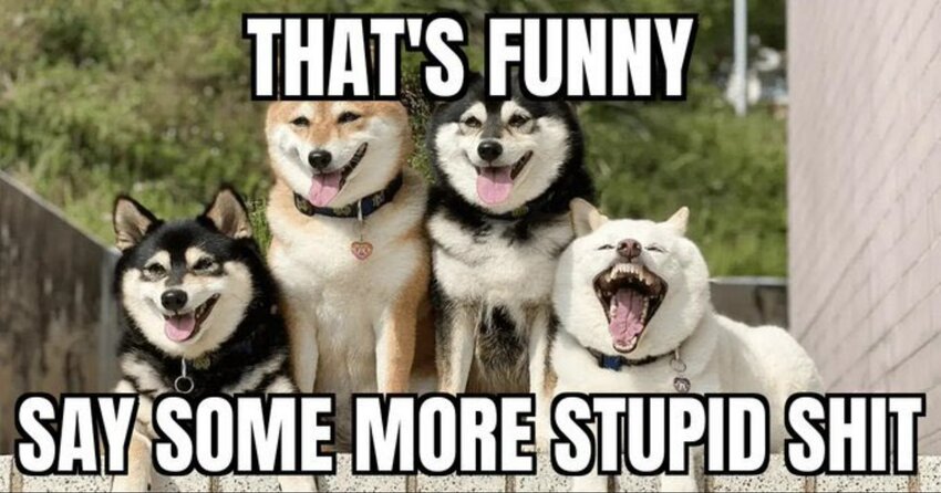 Dogs with their mouths open, captioned 'That's funny, say some more stupid shit.'