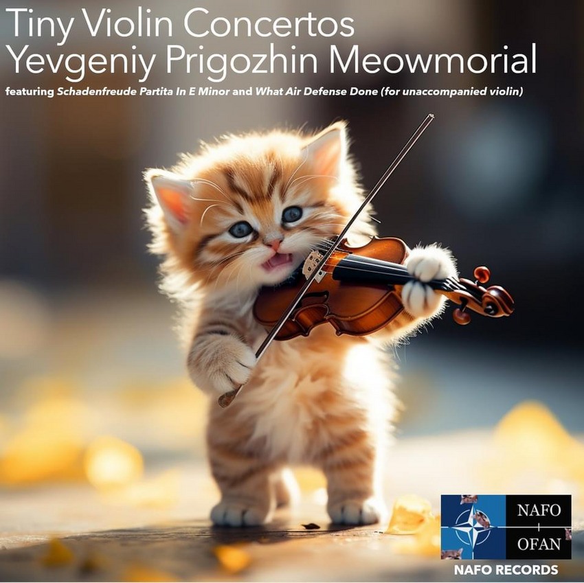 Small orange kitten plays a violin for the Tiny Violin Concertos Yevgeniy Prigozhin Meowmorial.