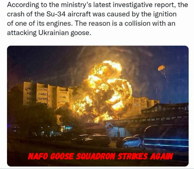 A Ukrainian goose collided with an Su-34 aircraft, NAFO goose squadron strikes again.