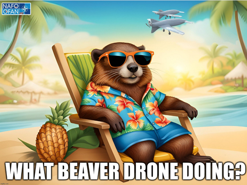 Beaver relaxing in Hawaiian shirt and deck chair, captioned 'What beaver drone doing?'