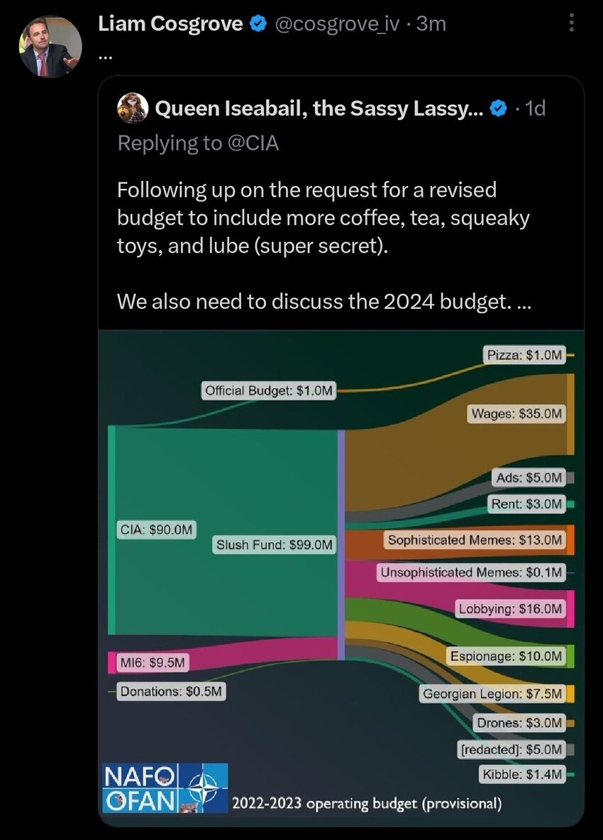 NAFO budget diagram for 2024.