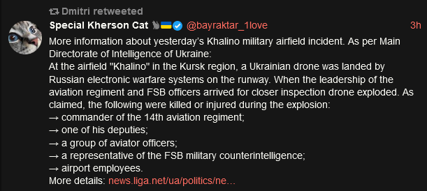 Special Kherson Cat reports on a Ukrainian drone being downed by Russian electronic warfare, then exploding and killing several Russian officers.