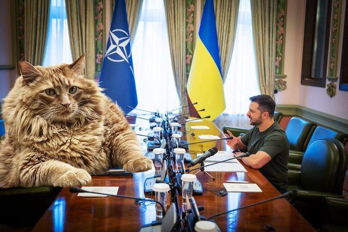 Giant Military cat General Butterball visits Kyiv.