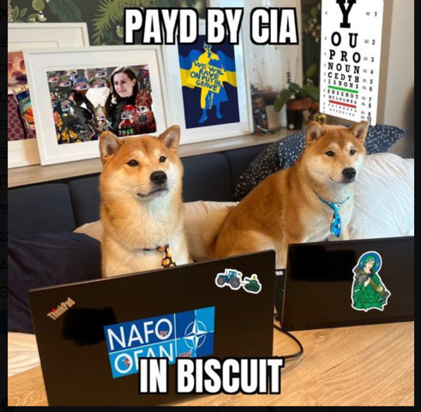 Two Shiba Inus in front of laptops, captioned 'Payd by CIA in biscuit.'
