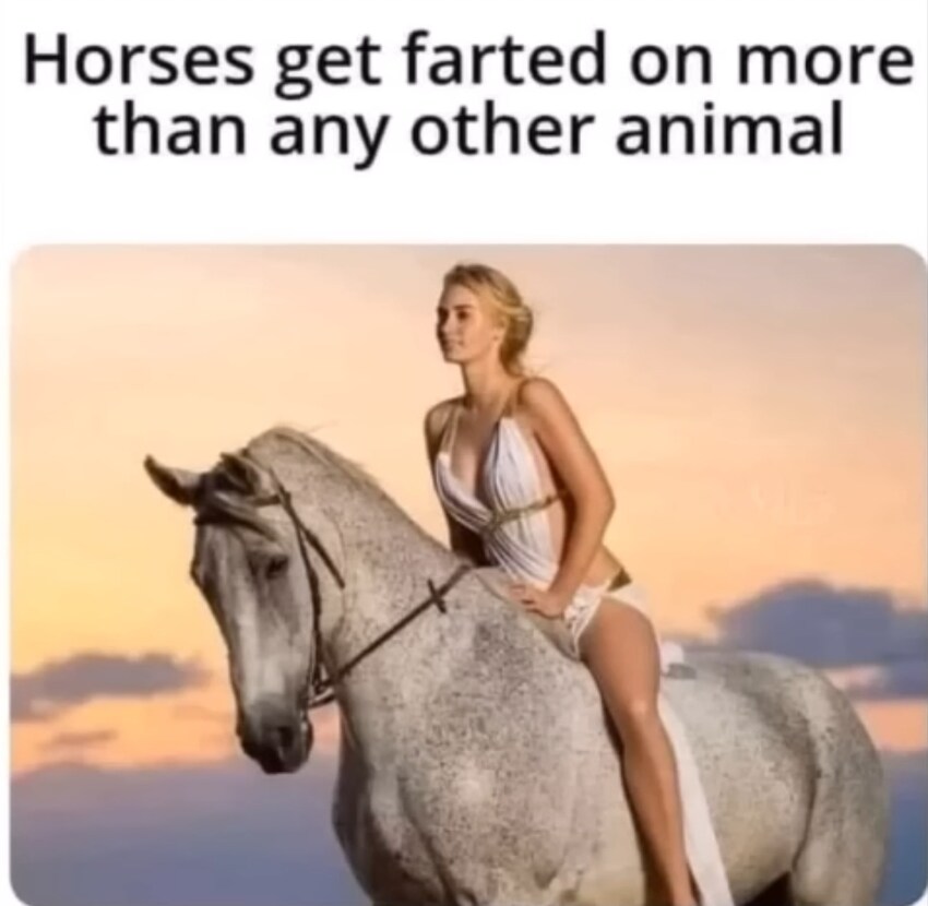 Woman in white rides a gray horse, caption 'Horses get farted on more than any other animal.'