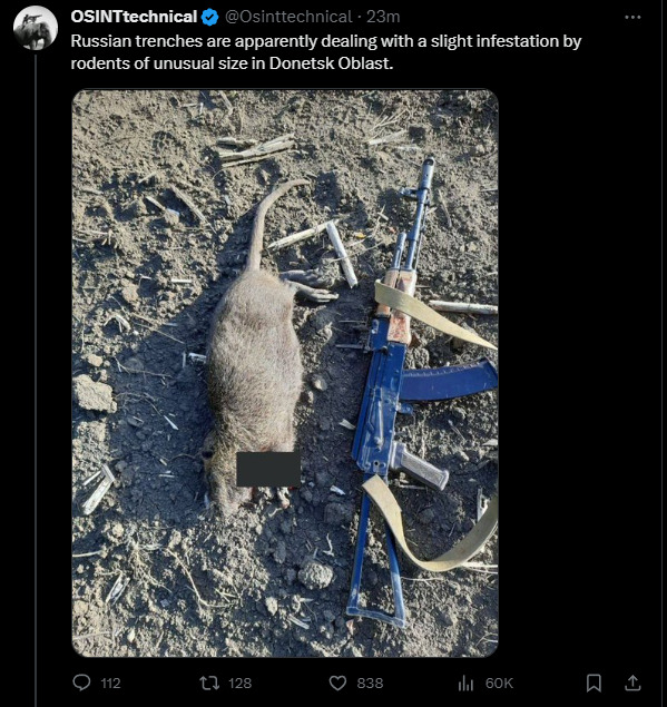 Russian trenches are apparently dealing with a slight infestation by rodents of unusual size in Donetsk Oblast.