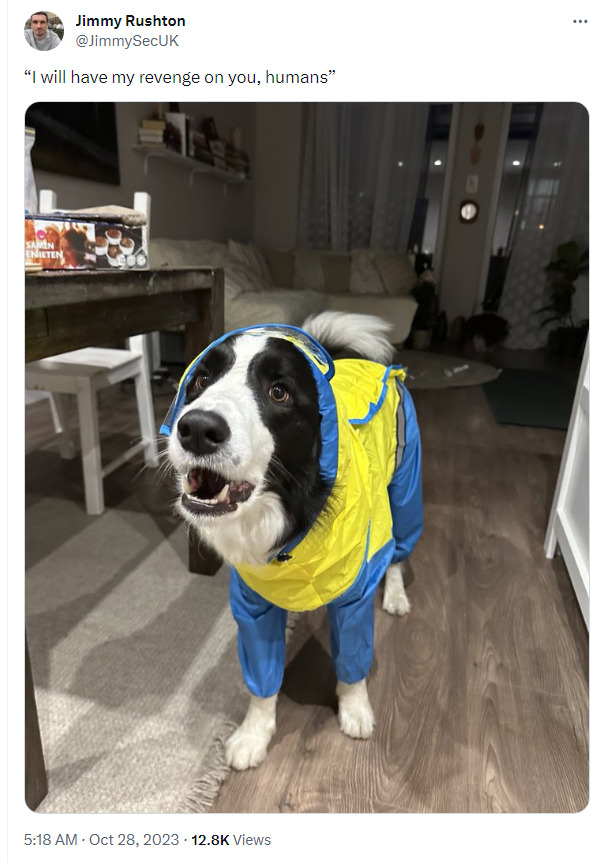 Dog in Ukraine flag outfit says, 'I will have my revenge on you, humans.'