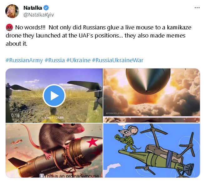 Russians glued a live mouse to a kamikaze drone they launched at the UAF's positions, then made memes about it.