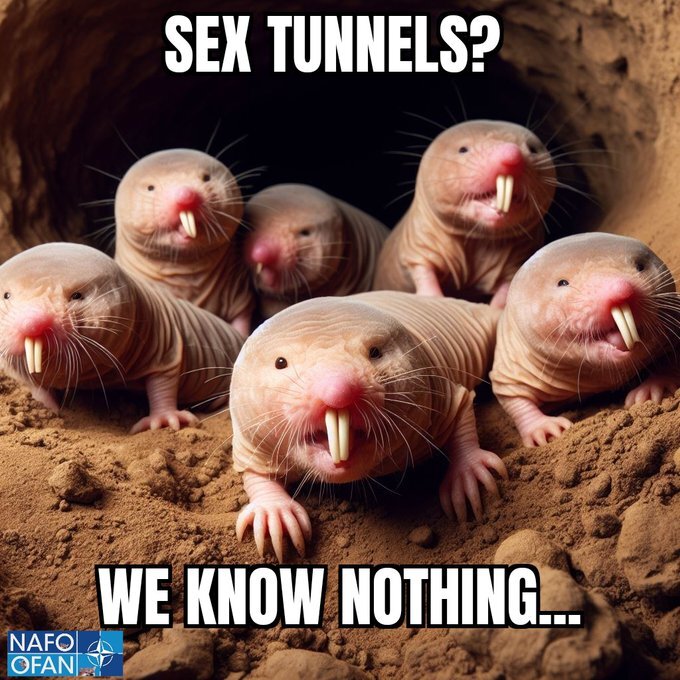 A bunch of mole rats, captioned 'Sex tunnels? We know nothing...'