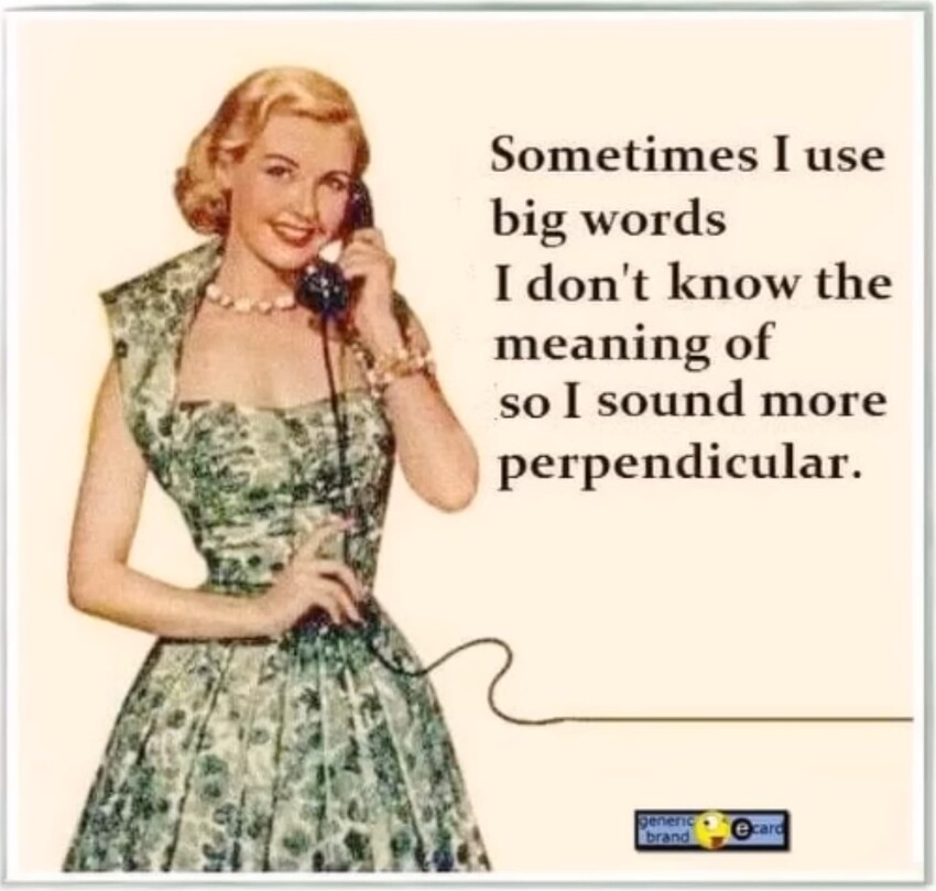 50s poster where a woman says, 'Sometimes I use big words I don't know the meaning of so I sound more perpendicular.'