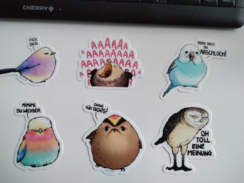 Stickers with birds, saying 'Fuck you', 'AAAAA!', 'Don't get on my nerves, asshole!', 'Mimimi, you wanker', 'Thanks for nothing', and 'Oh great, an opinion'