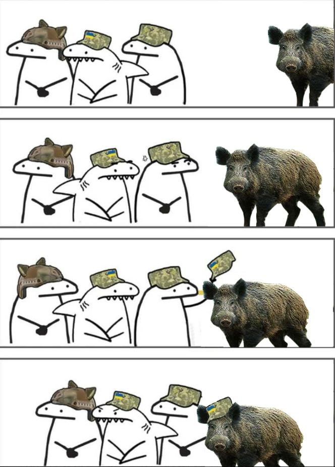 Flork of Cows gives a hat to a warthog.