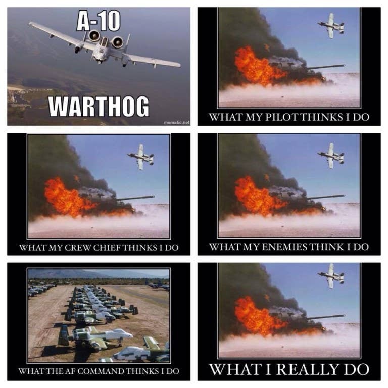The A-10: What its pilot thinks it does, what its crew chief thinks it does, what enemies think it does, what command thinks it does, what it really does.