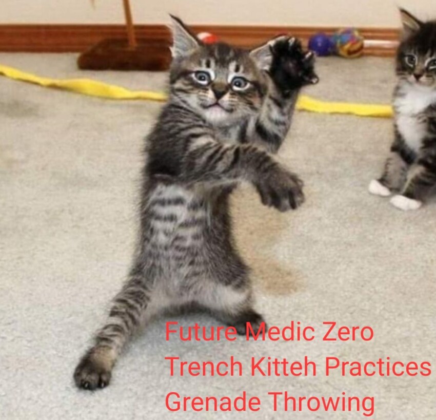 Medic Zero Trench Kitty practices grenade throwing (kitten standing on 2 legs, looking like it's throwing a grenade.)