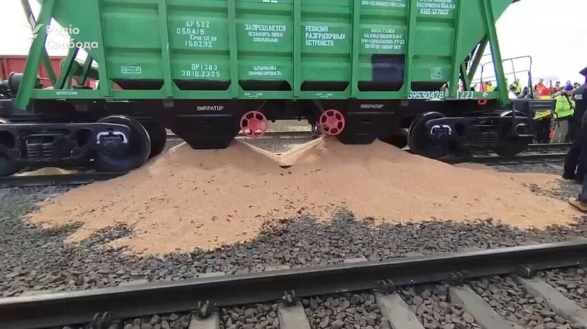 Polish farmers dump grain from a Ukrainian train car.