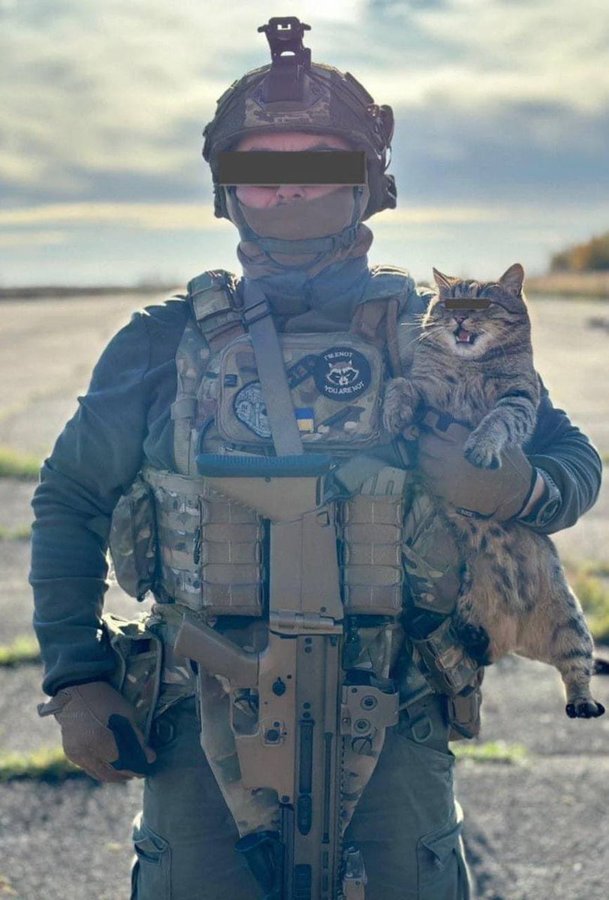 Ukrainian soldier carrying fluffy gray cat, both soldier and cat have black bars over their eyes.